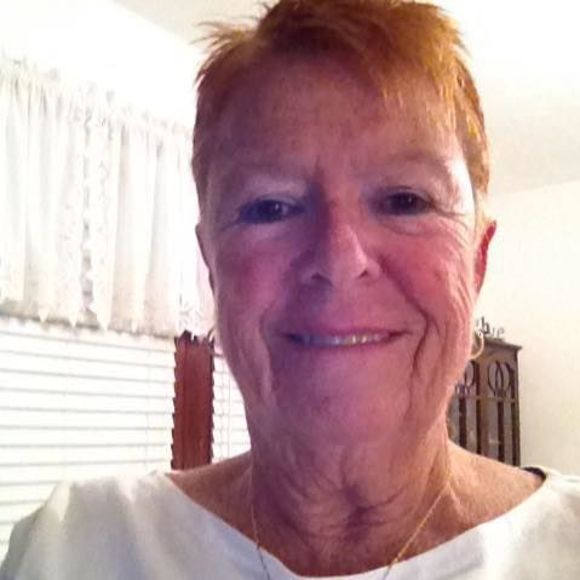 Meet your Posher, Carol - Picture 1 of 1